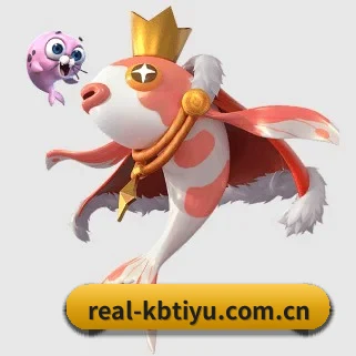 kb体育 APP